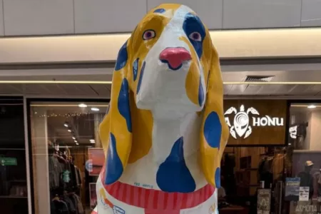 Exposición Perros