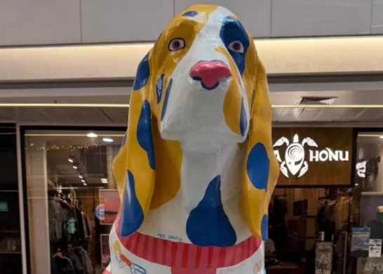 Exposición Perros