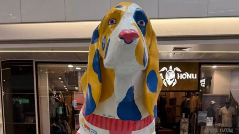 Exposición Perros