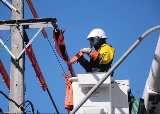 Nuevas Medidas De Enel Para Combatir Los Cortes De Luz En El Verano