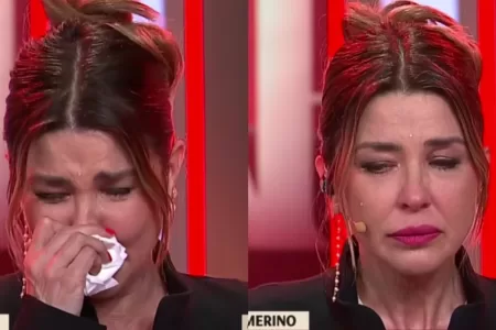 Pancha Merino (2)